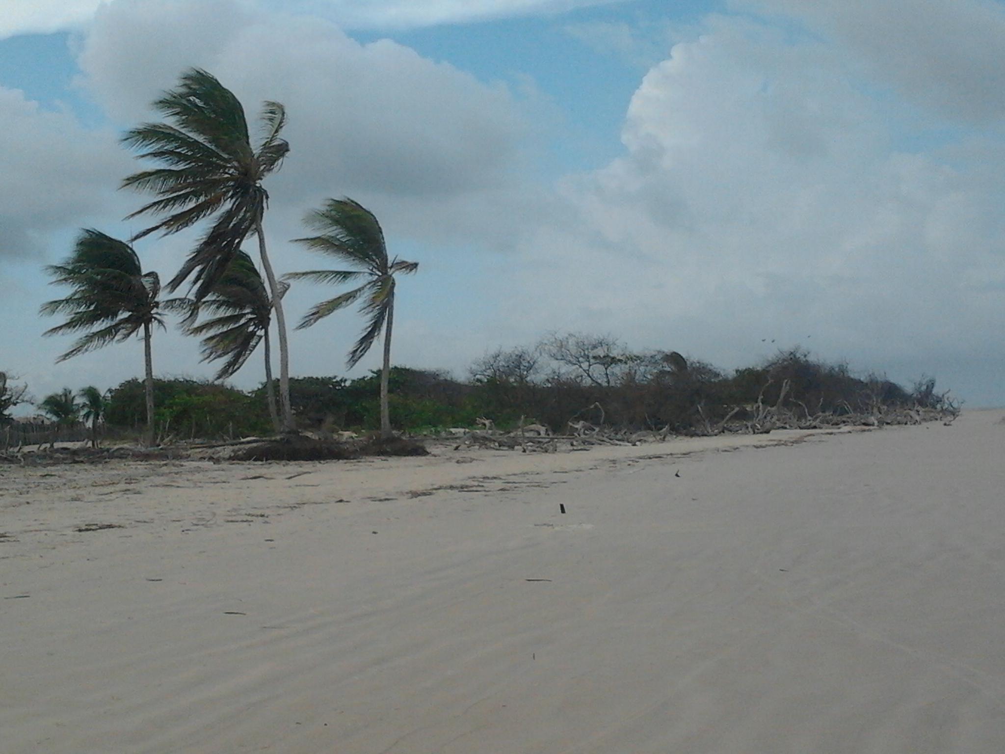 Turiaçu Maranhão fonte: dynamic-media-cdn.tripadvisor.com